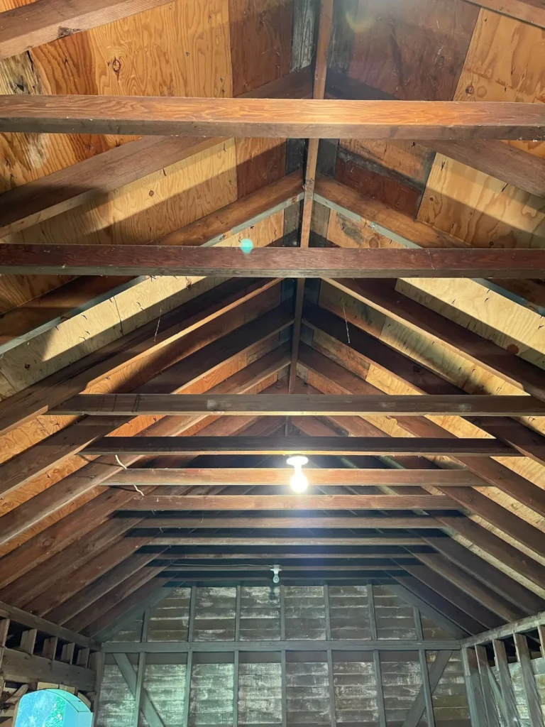 Gallery image 1